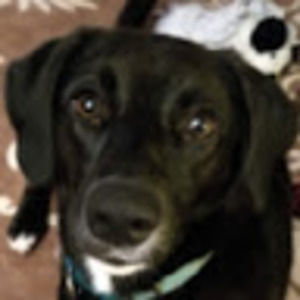 Meet your Posher, Angie